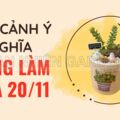 CÂY CẢNH Ý NGHĨA DÙNG LÀM QUÀ 20/11