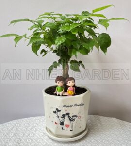 Cây Hạnh Phúc - Chậu sứ đôi tình nhân