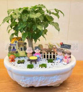 Cây Hạnh phúc Chậu sứ