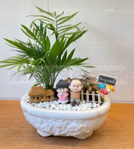 Tiểu Cảnh Cây Cau Tiểu Trâm Và Lá May Mắn - Chậu sứ