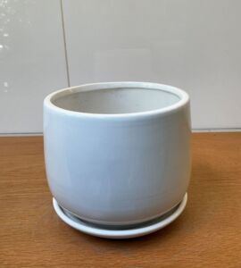 Chậu Sứ Bo Đáy Có Dĩa | Màu Trắng