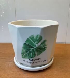 Bộ 3 Chậu Sứ In Hình Chiếc Lá | Màu Trắng