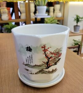 Chậu Sứ Lục Giác Hoa Văn Có Dĩa | Màu Trắng