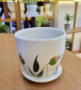 Chậu Sứ Dáng Ly Vẽ Lá Có Dĩa | Màu Trắng