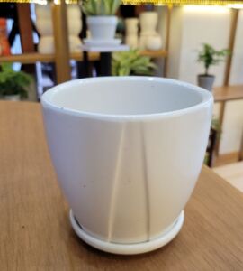 Chậu Sứ Dáng Ly Có Dĩa | Màu Trắng