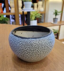 Chậu Sứ Men Rạn Chấm Bi | Viền Xanh