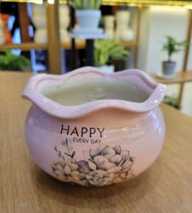 Chậu Sứ Tròn Bèo In Hình | Màu Hồng/Xanh