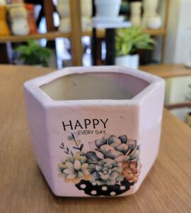 Chậu Sứ Lục Giác In Hình | Màu Hồng/Xanh