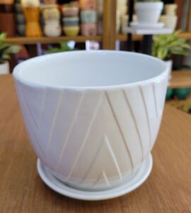 Chậu Sứ Vát Đáy Sọc Chéo Có Dĩa | Màu Trắng