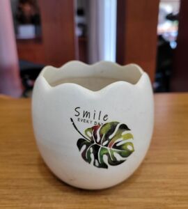 Chậu Sứ Mini Răng Cưa In Hình | Màu Trắng