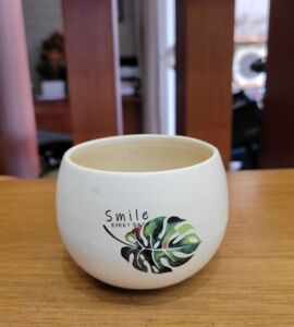 Chậu Sứ Mini Tròn In Hình | Màu Trắng