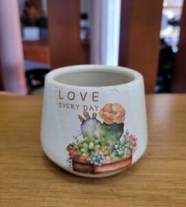Chậu Sứ Mini Bầu In Hình | Màu Trắng/Xanh