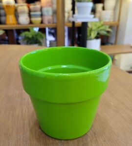 Chậu Sứ Dáng Ly Có Gờ | Nhiều Màu