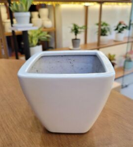 Chậu Sơn Vuông Vát Đáy | Nhiều Màu