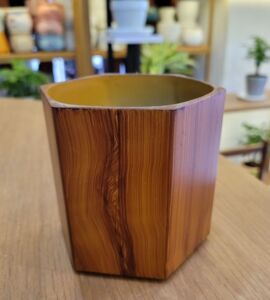 Chậu Sơn Lục Giác | Nhiều Màu