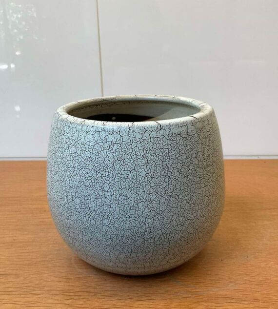 Chậu Sứ Trứng Chấm Bi | Xám Trắng