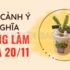 CÂY CẢNH Ý NGHĨA DÙNG LÀM QUÀ 20/11