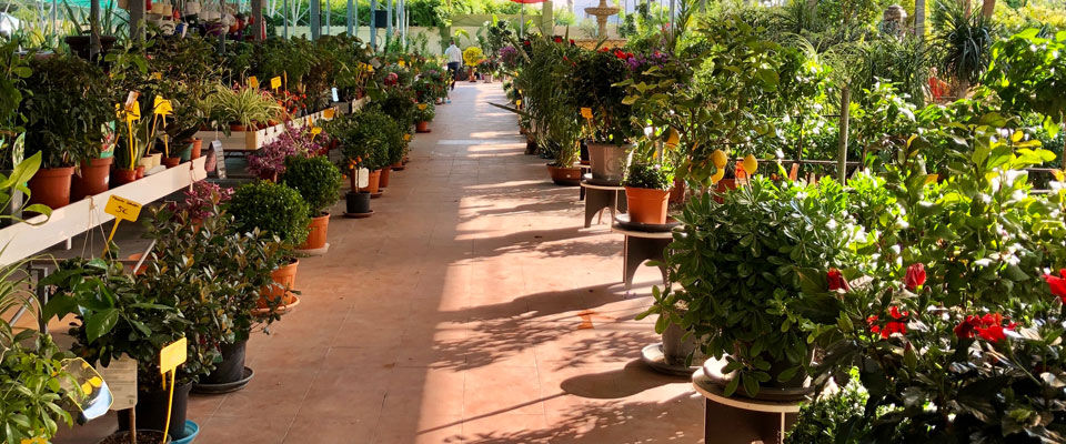 Annhien Garden