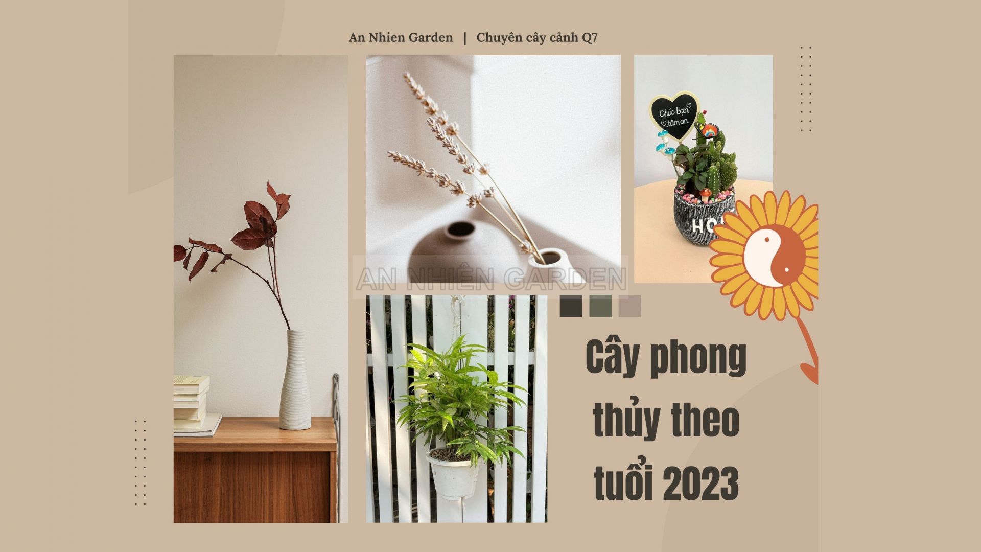 TOP CÁC LOẠI CÂY PHONG THỦY THEO TUỔI 2023