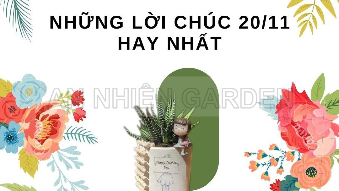 TỔNG HỢP LỜI CHÚC NGÀY NHÀ GIÁO VIỆT NAM