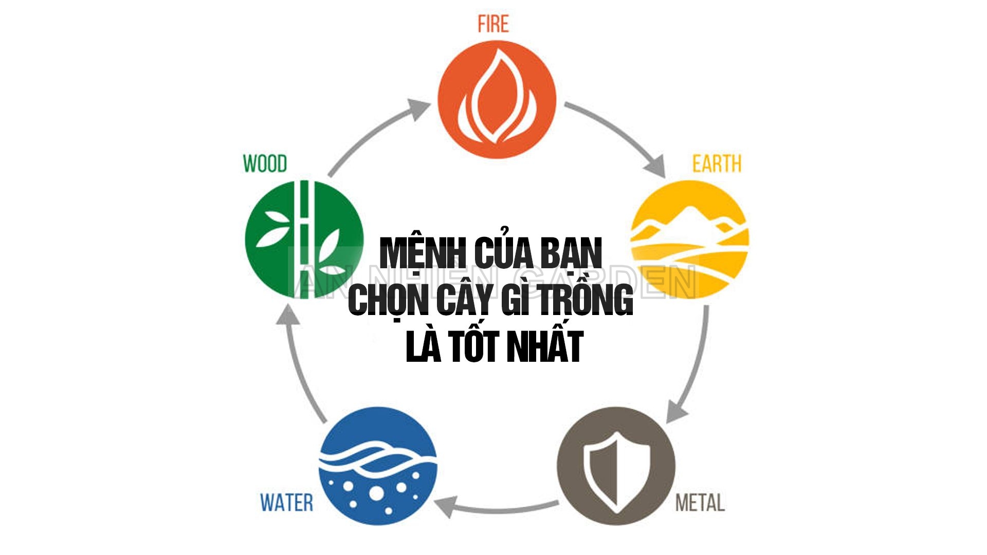 MỆNH GÌ NÊN TRỒNG CÂY?